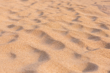 Wind Print on Sand