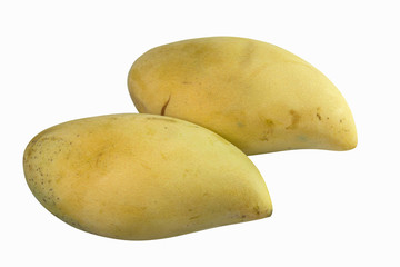 Yellow mango on white background