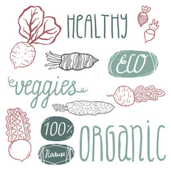 Eco hand drawn lettering and veggies: beetroots and raddish