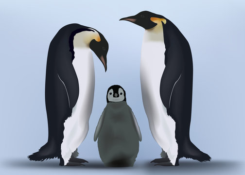 Pingouins - Famille
