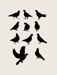 Pigeon Silhouettes, art vector design