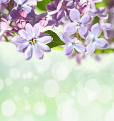 Fototapeta na wymiar Abstrackt background with with lilacs for greetings Happy Valent