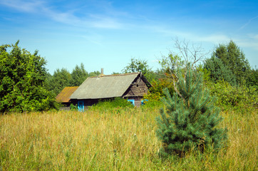 Fototapeta na wymiar rural hut in summer