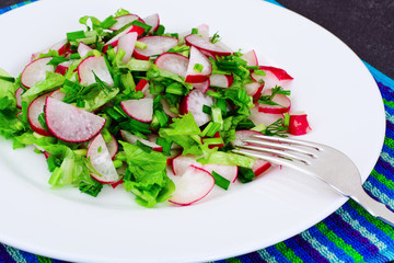 Dietary Salad from Fresh Juicy Radish, Green Onions, Lettuce