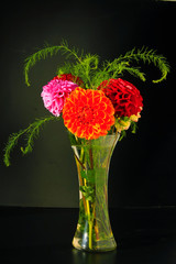 Dahlias in the Vase on the black Background