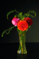 Dahlias in the Vase on the black Background