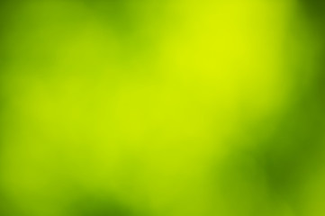 Naklejka na ściany i meble Green blurred background and sunlight