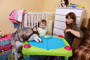 Wspólny posiłek © fotodrobik