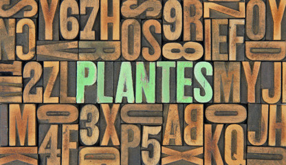 Plantes / caracteres d'imprimerie en bois
