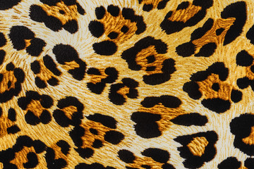 texture of print fabric striped leopard