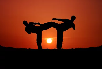 Two Fighters on Sunset