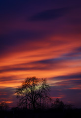 Spring sunset view from the window