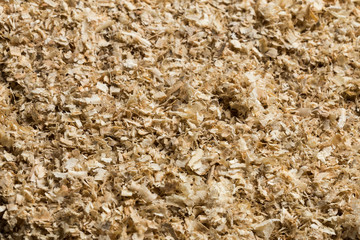 Wood shavings background
