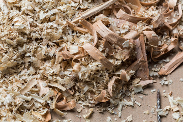 Wood shavings background