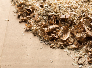Wood shavings background