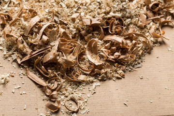 Wood shavings background