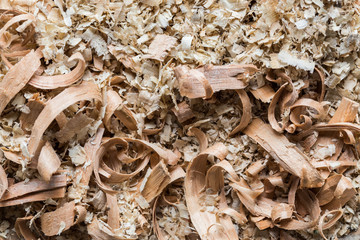 Wood shavings background