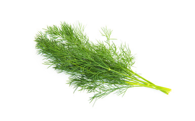 Fresh dill
