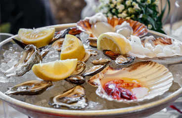 gourmet mussels served with ice and lemon slices. seafood menu a