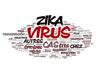 Zika  related concepts isolated on white background