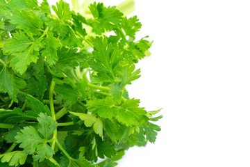 Parsley isolated on white