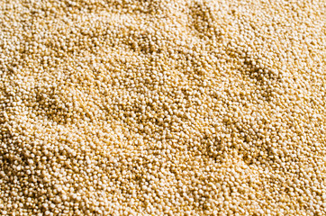 Quinoa dry seeds