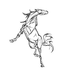 Galloping horses. Hand-drawn illustration