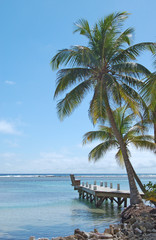 Fototapeta na wymiar Palm Trees Hang Over Oceanfront Jetty
