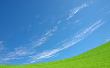 Green grass and sky