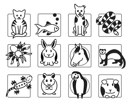 12 popular pet animal icons in black outline
