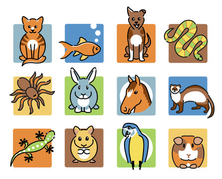 12 popular pet animal icons in colour
