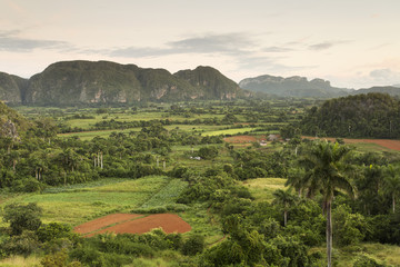 Fototapeta na wymiar Panoramic view over landscape with mogotes in Vinales Valley ,Cu