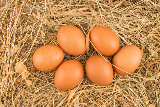 Chicken eggs lying on hay. Symbol of life and Easter.