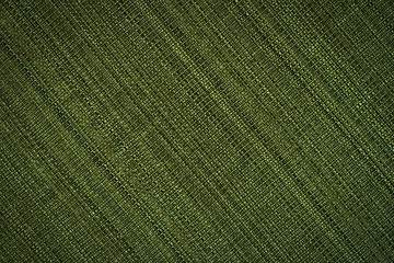 Green leather texture closeup, useful as background