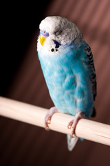 Still locked up when I wake