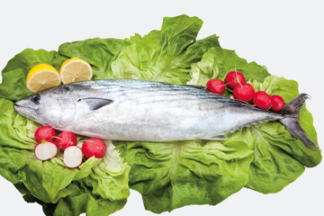 Food cousine composition ingredient for eating, Tuna fish composition with lemon, lettuce, radish and lemon