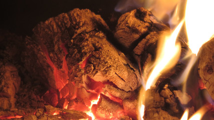 Burning log fire