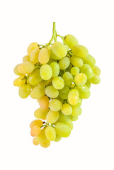 Green grapes isolated