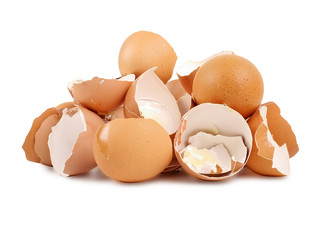 Egg shell