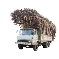 Old truck transporting sugar cane