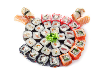 Different types of sushes