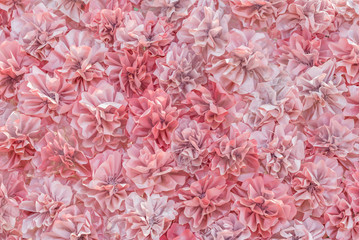pink fabric flower background