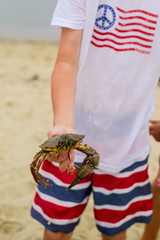 Little American boy holding Rock Crab on Beach