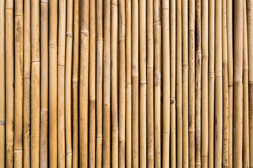 bamboo fence