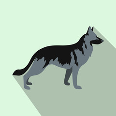 German Shepherd dog icon, flat style 