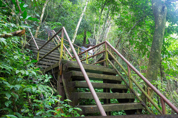 Fototapeta premium walkway