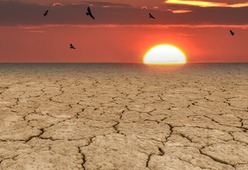 Global warming is a real threat for our civilization.  
Conceptual composite image symbolizing a drastic change in climate of our planet
