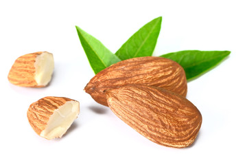 almond on white