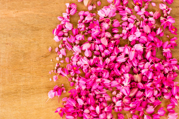 Obraz premium small flower pink on wood