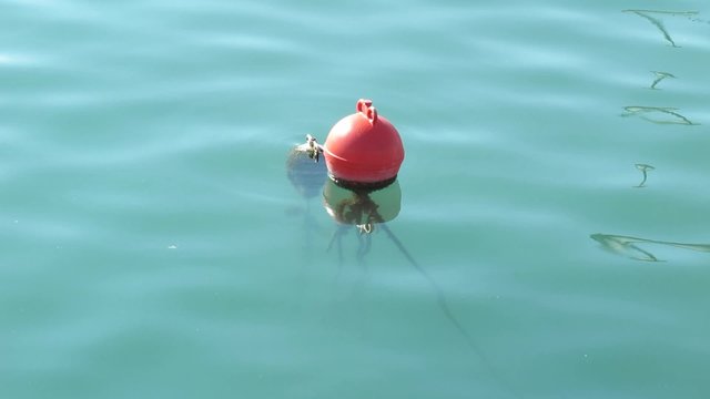 buoy on lake